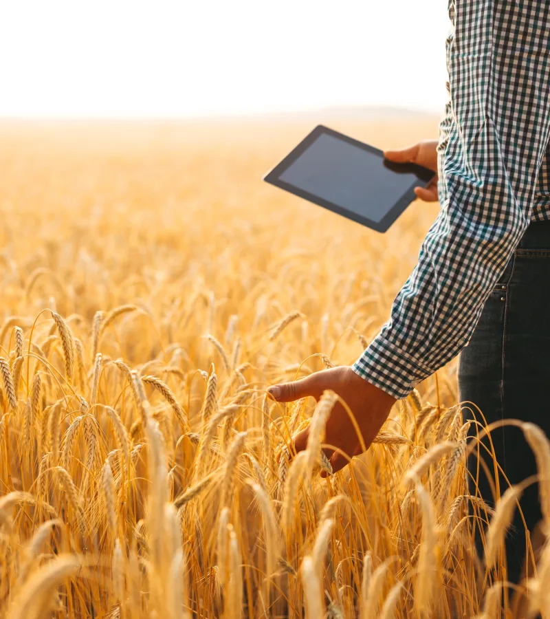 La Sembradora de Ideas_Agricultura digital La Sembradora de Ideas_Agricultura digital